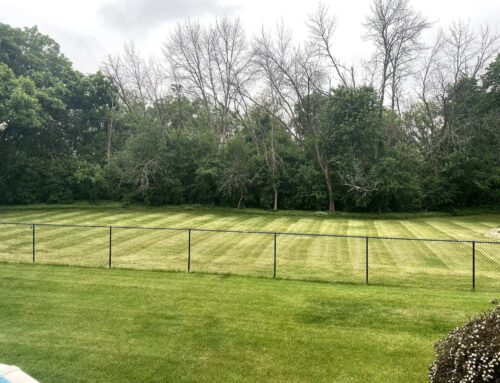 Expert Lawn Mowing Services in Fort Atkinson, WI by Ziggys: Perfectly Manicured Lawns Every Time