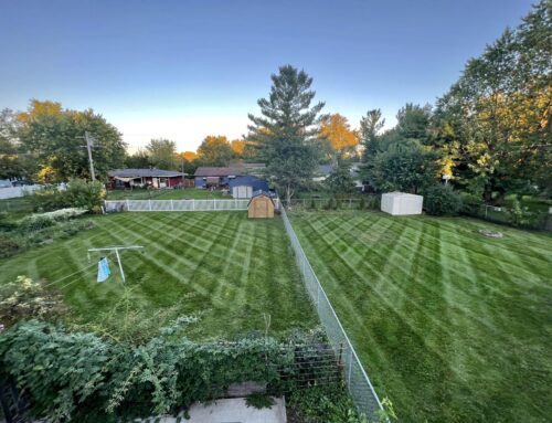 Superior Lawn Care and Mowing Services in Fort Atkinson, WI – Ziggy’s Snow and Landscape