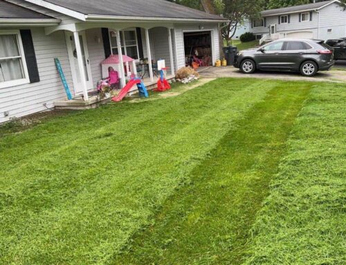 Professional Lawn Mowing Services in Fort Atkinson, WI – Ziggy’s Snow and Landscape