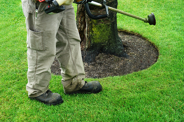 Lake Geneva Lawn Care
