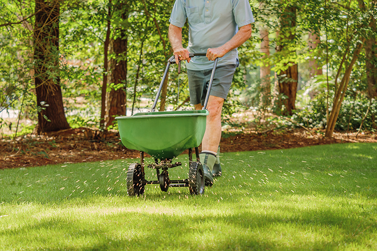 Elkhorn large lawn mowing