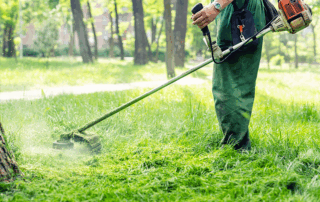 Ziggy’s mower Elkhorn