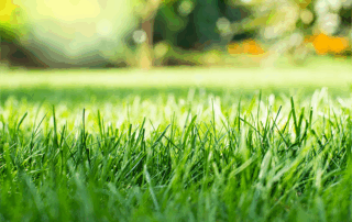 Residential mowing service Kenosha