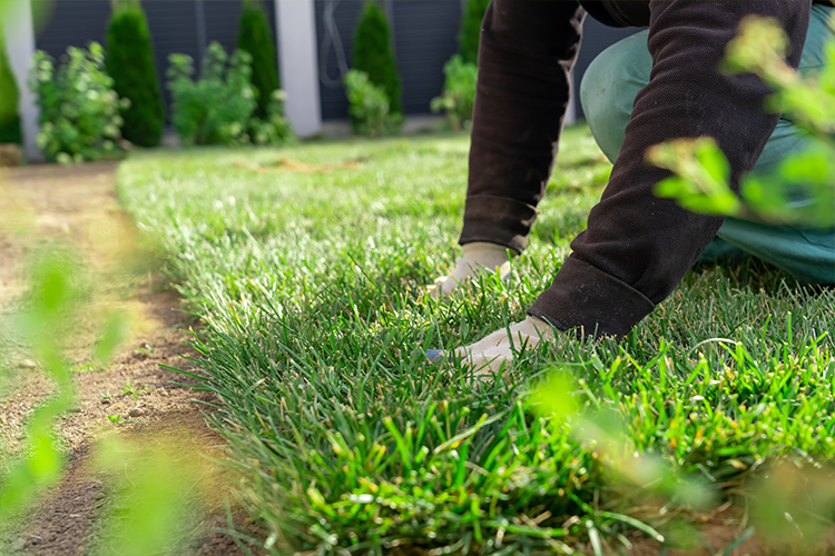 New lawn installation Lake Geneva