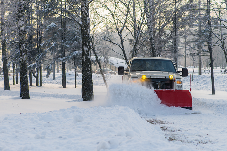 Elkhorn snow removal